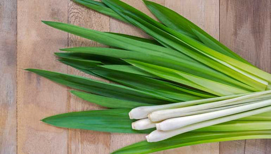 The Benefits of Natural Lemongrass Oil