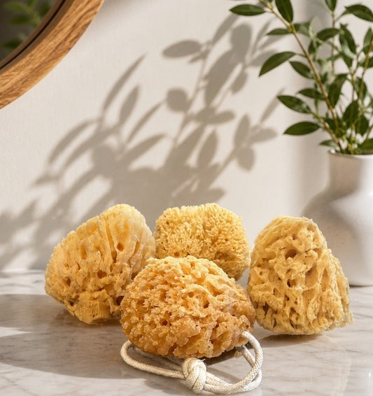Scented Soap Sponge